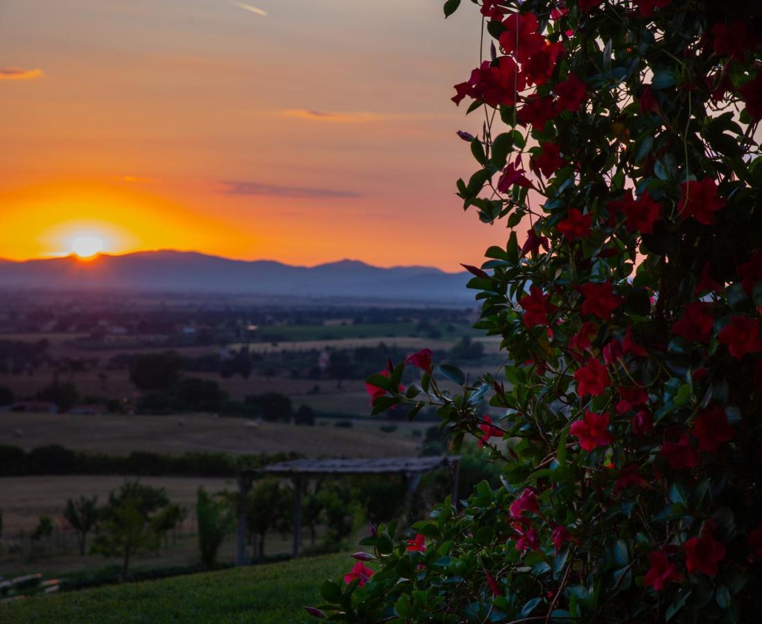 Podere N.8 Bio Casale Maremma Alberese Dış mekan fotoğraf